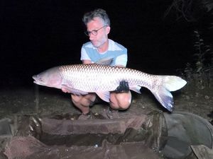 Grass Carp