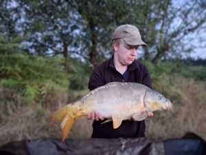 Mirror Carp