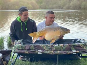 Mirror Carp