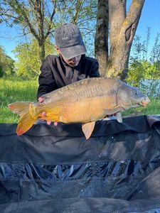 Leather Carp