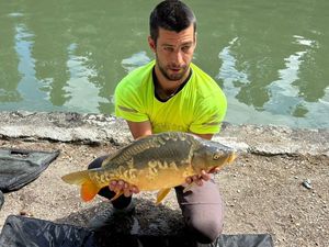 Mirror Carp