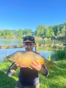 Mirror Carp