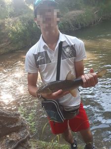 Barbel