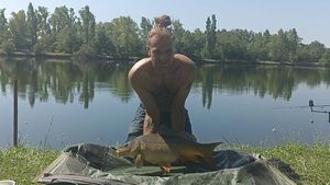 Mirror Carp