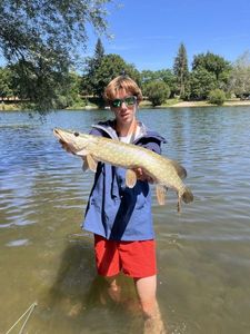 Northern Pike