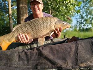 Common Carp