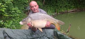Mirror Carp