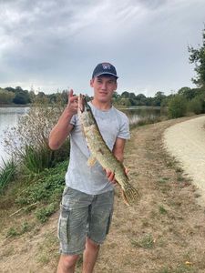 Northern Pike
