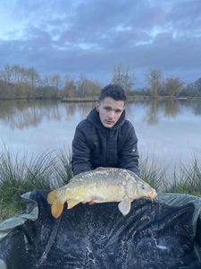 Mirror Carp