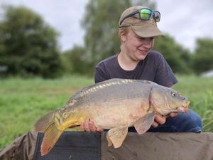 Mirror Carp