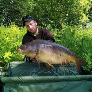 Mirror Carp