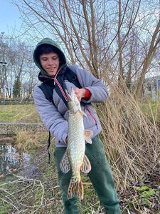 Northern Pike