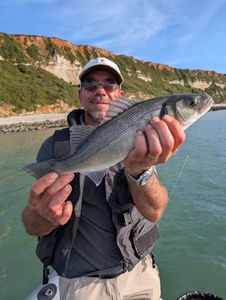 European Bass (Seabass)