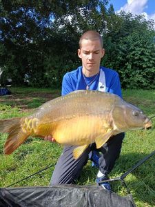 Mirror Carp