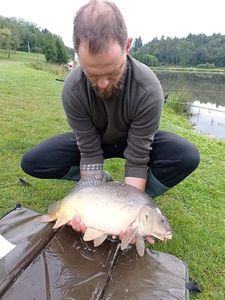 Mirror Carp