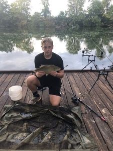 Common Bream