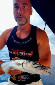 Great Barracuda
