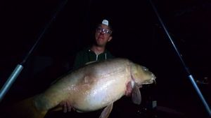 Mirror Carp
