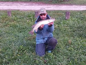Northern Pike