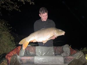 Common Carp