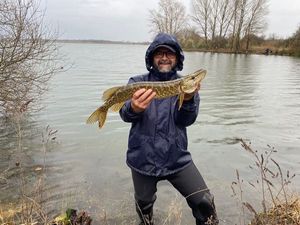Northern Pike