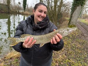 Northern Pike
