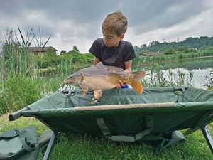 Mirror Carp