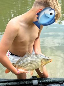 Common Carp