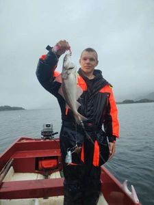 Haddock