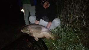 Mirror Carp