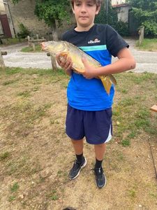 Leather Carp