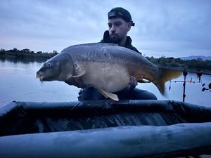 Leather Carp