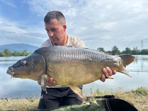 Mirror Carp