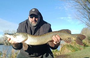 Northern Pike
