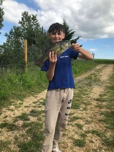 Largemouth Bass