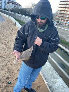 European Flounder