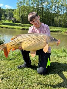 Common Carp