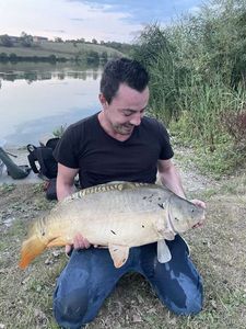 Mirror Carp