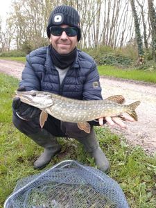 Northern Pike