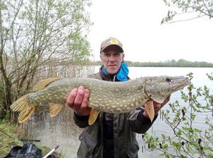Northern Pike