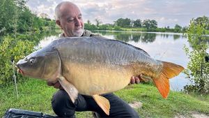 Mirror Carp