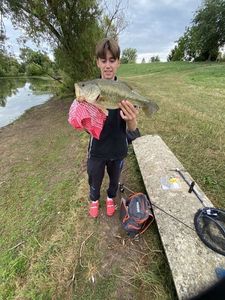 Largemouth Bass