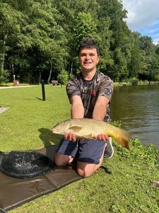 Common Carp