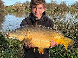 Mirror Carp
