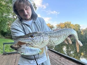 Northern Pike