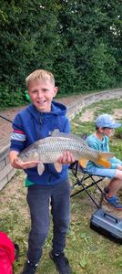 Common Carp
