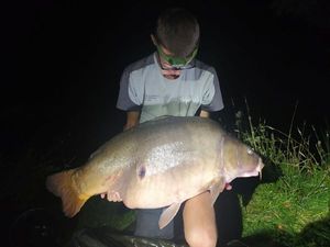 Mirror Carp