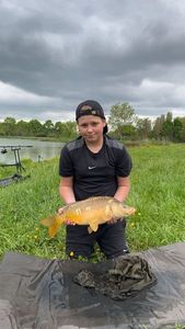 Mirror Carp