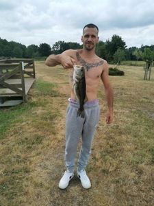 Largemouth Bass