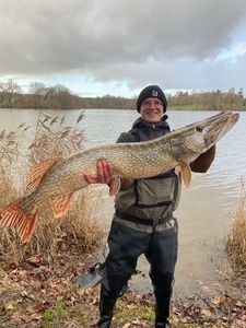 Northern Pike